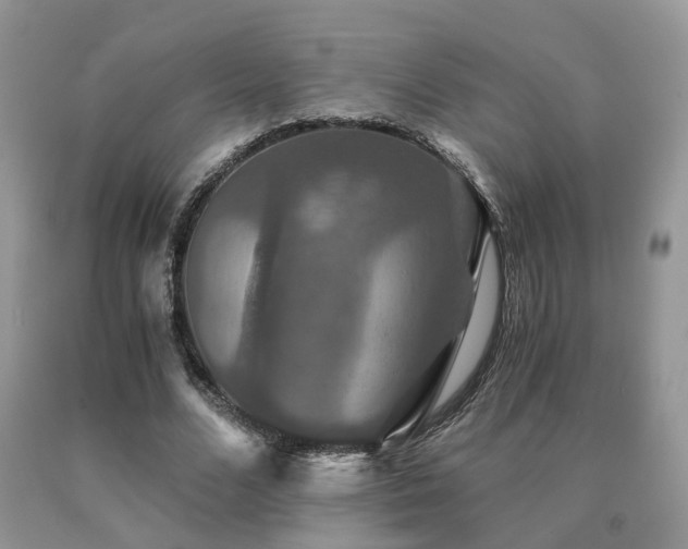 X0000091080680200708061337