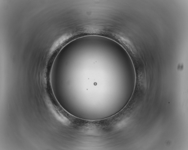 X0000091080682200708061337