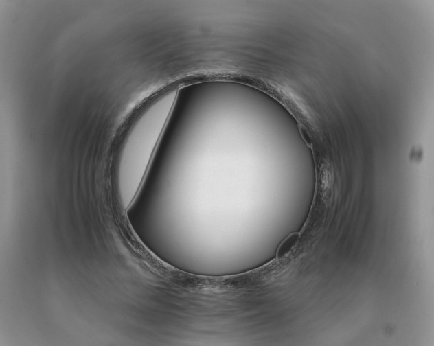 X0000091080684200708061337