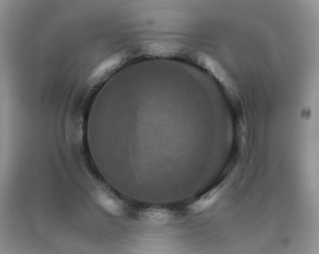 X0000091080685200708061337