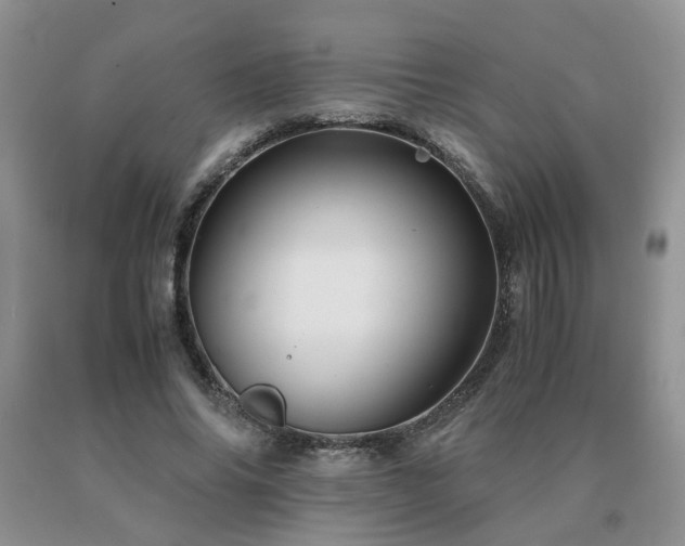 X0000091080686200708061337