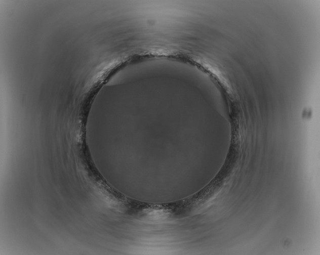 X0000091080689200708061337