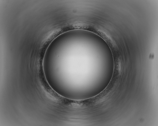 X0000091080690200708061337