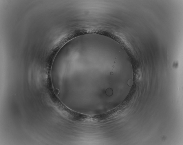 X0000091080691200708061337