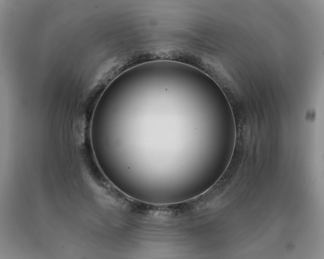 X0000091080694200708061337