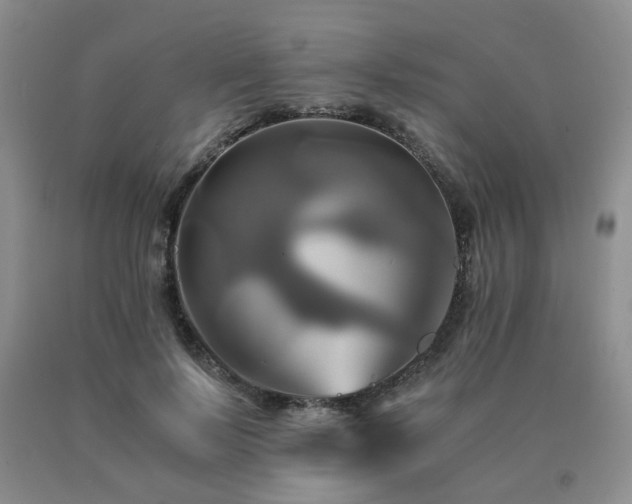 X0000091080695200708061337