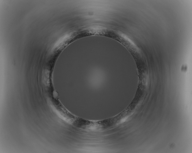 X0000091080696200708061337