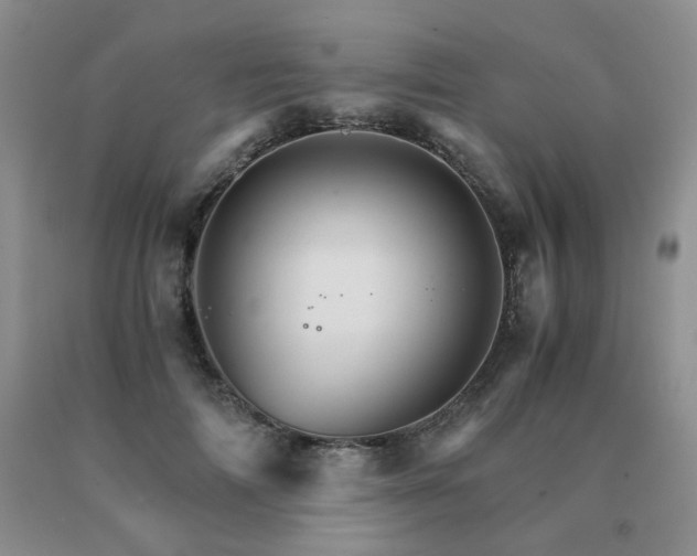 X0000091080698200708061337