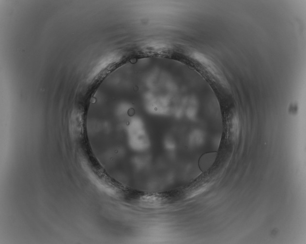 X0000091080699200708061337