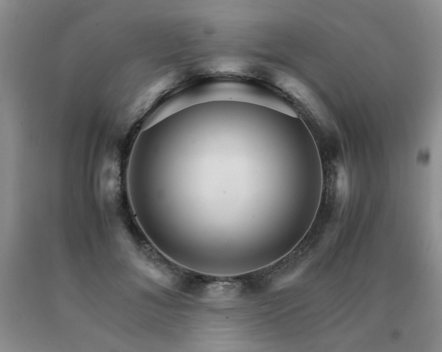 X0000091080700200708061337