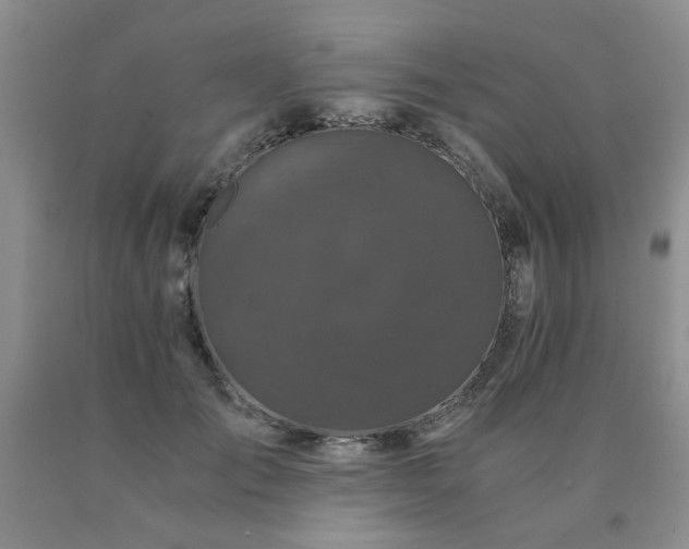 X0000091080701200708061337