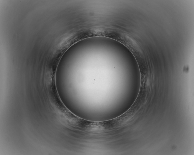 X0000091080702200708061337