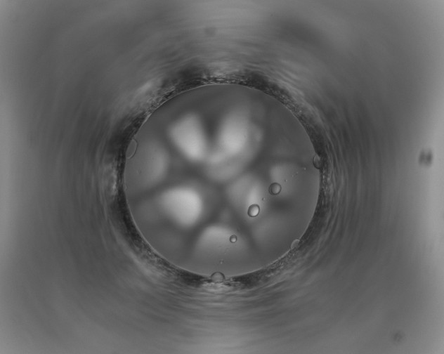 X0000091080703200708061337