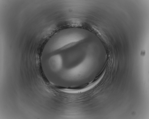 X0000091080704200708061337