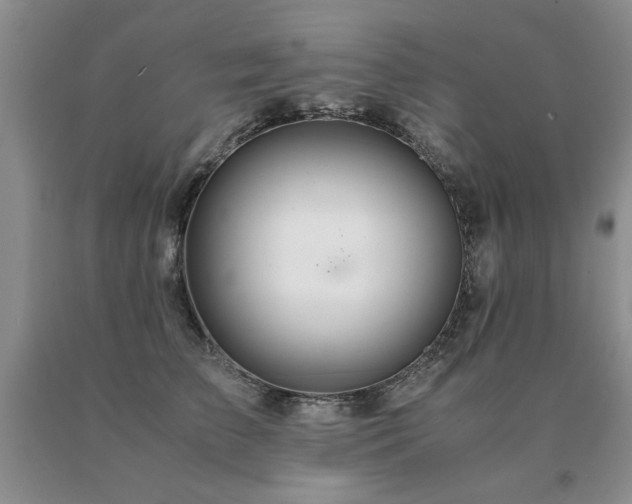 X0000091080709200708061337