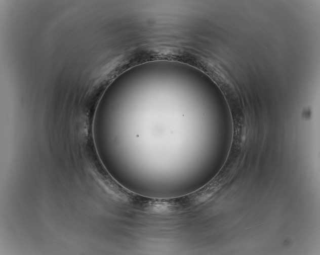 X0000091080710200708061337