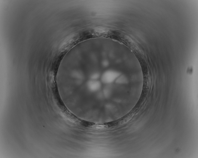 X0000091080711200708061337