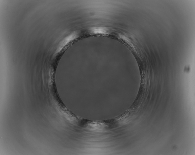 X0000091080712200708061337