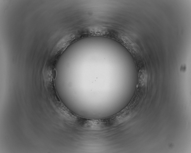 X0000091080713200708061337