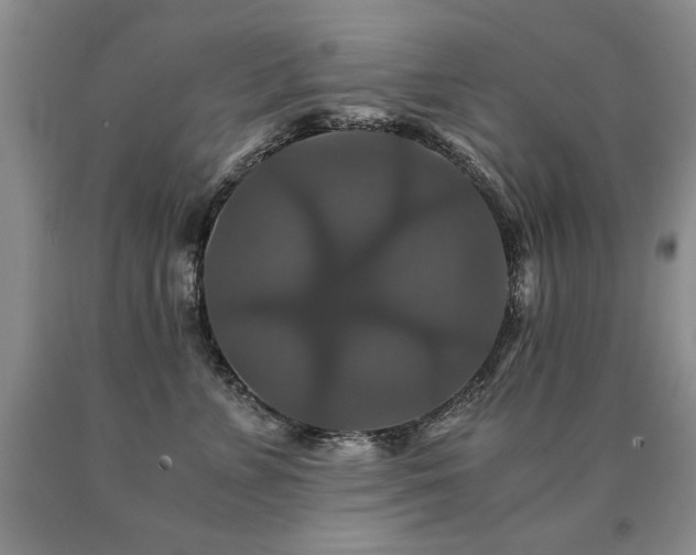 X0000091080715200708061337