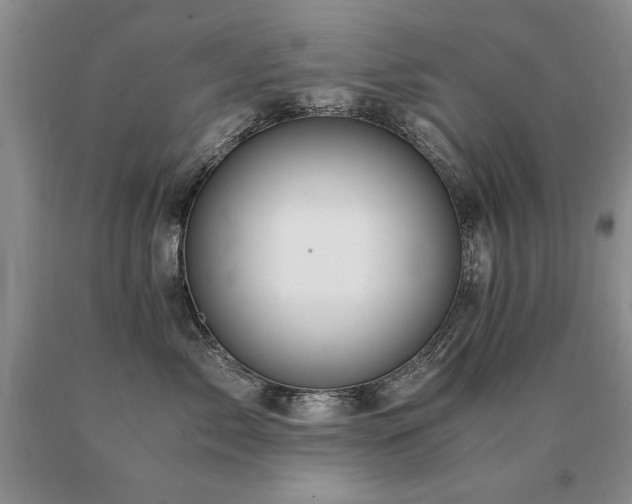 X0000091080717200708061337