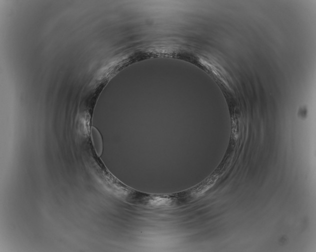 X0000091080718200708061337