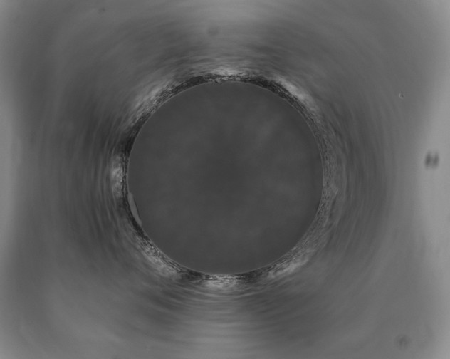 X0000091080720200708061337