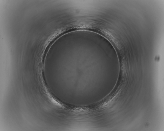 X0000091080721200708061336