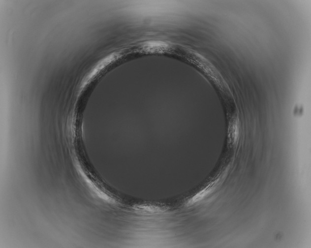 X0000091080722200708061336