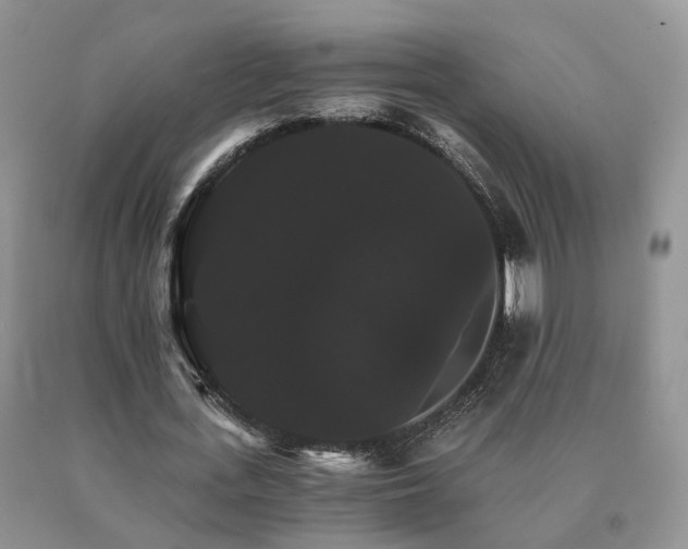 X0000091080723200708061336