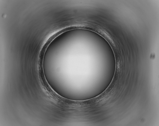 X0000091080724200708061336