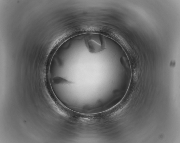 X0000091080725200708061336