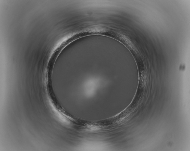 X0000091080726200708061336