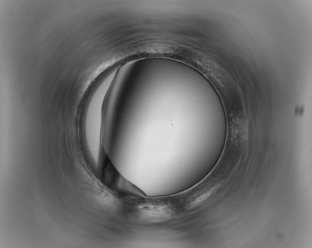 X0000091080727200708061336