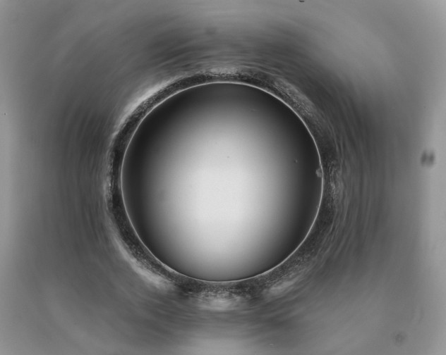 X0000091080728200708061336