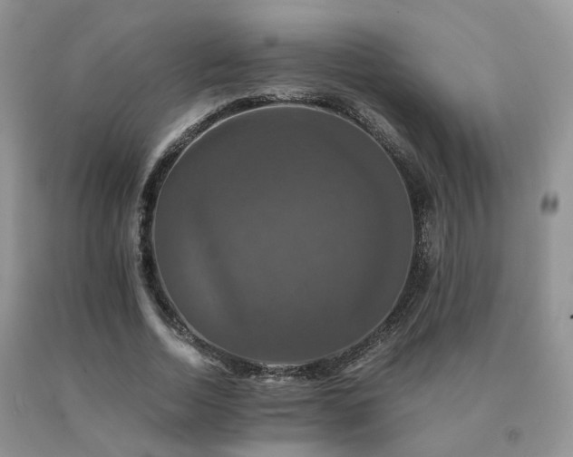 X0000091080730200708061336