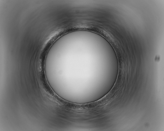 X0000091080731200708061336