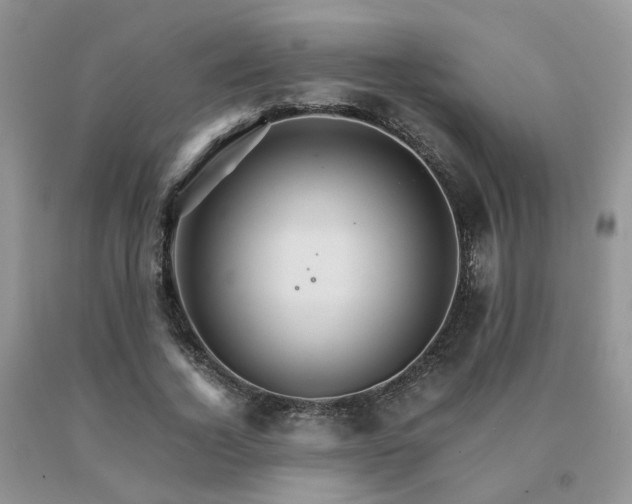 X0000091080732200708061336