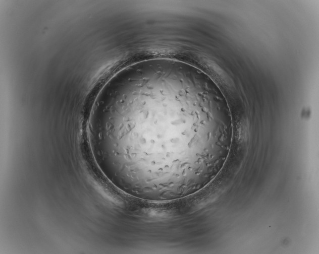 X0000091080733200708061336