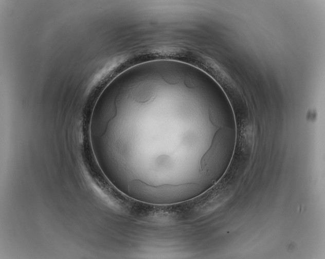 X0000091080734200708061336