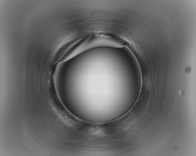 X0000091080735200708061336