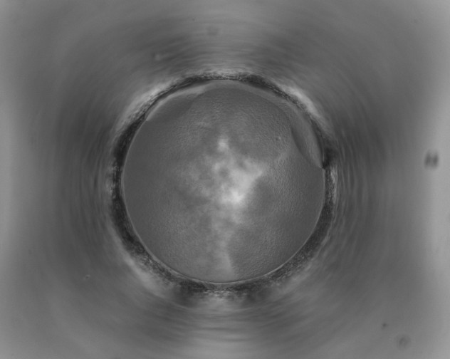 X0000091080736200708061336