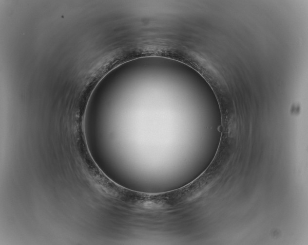 X0000091080737200708061336