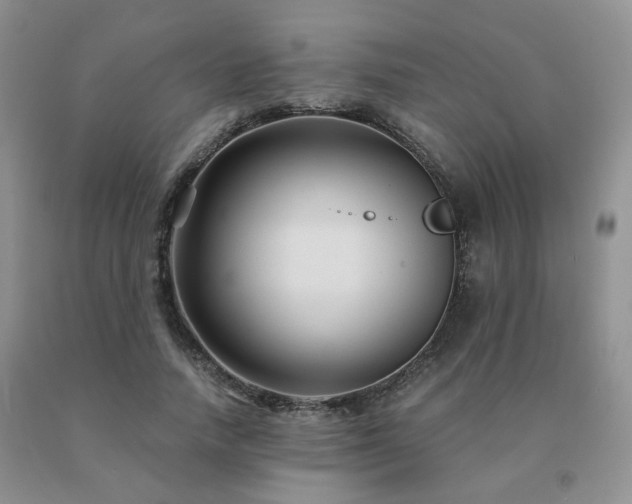 X0000091080738200708061336