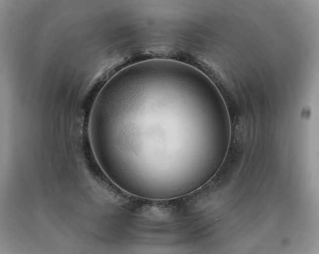 X0000091080739200708061336