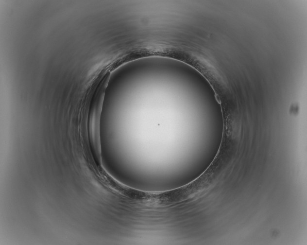 X0000091080740200708061336