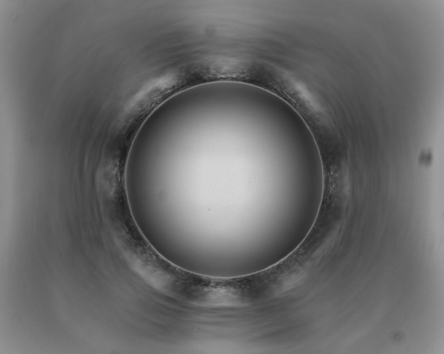 X0000091080741200708061336