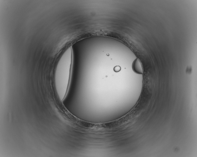 X0000091080742200708061336