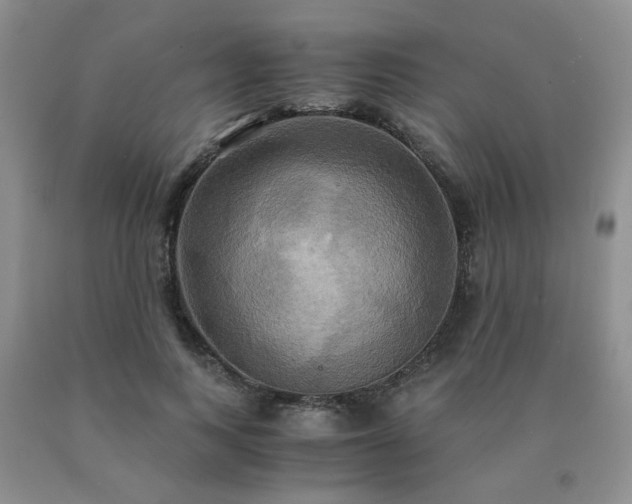 X0000091080743200708061336