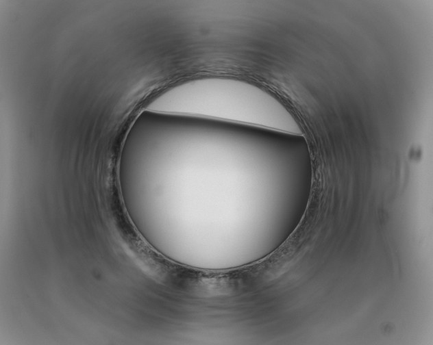 X0000091080744200708061336